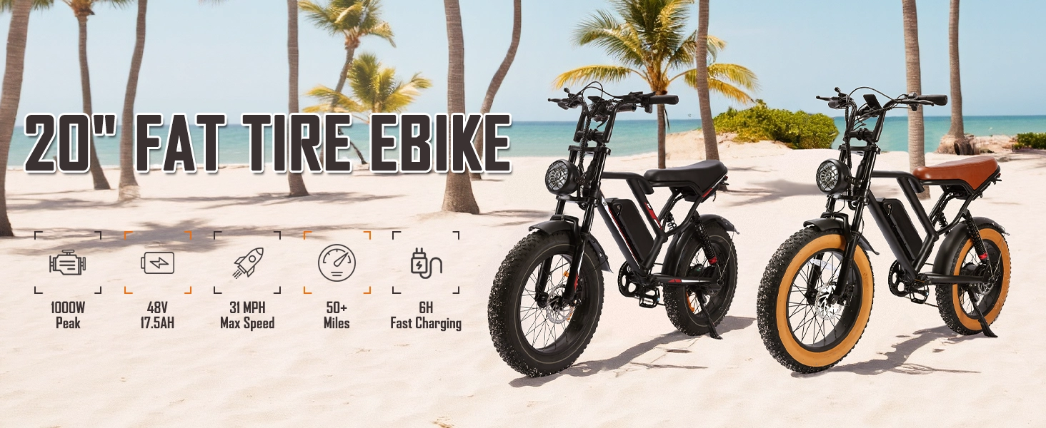 fat tire electric bike pedal assist technology